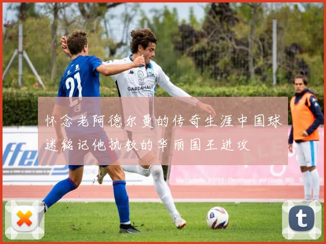 怀念老阿德尔曼的传奇生涯中国球迷铭记他执教的华丽国王进攻