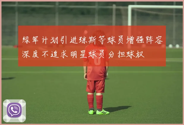 绿军计划引进琼斯等球员增强阵容深度不追求明星球员分担球权