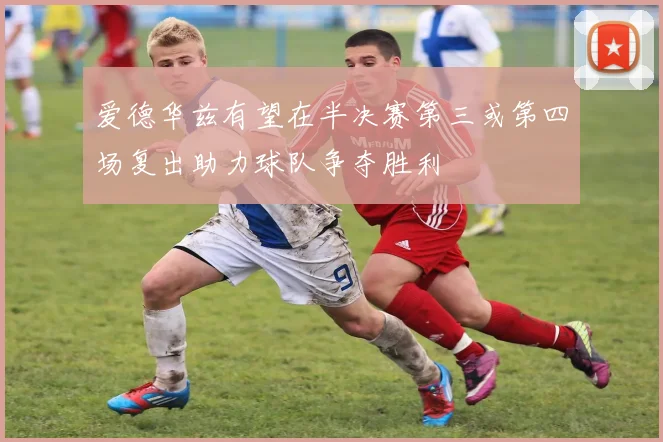 爱德华兹有望在半决赛第三或第四场复出助力球队争夺胜利
