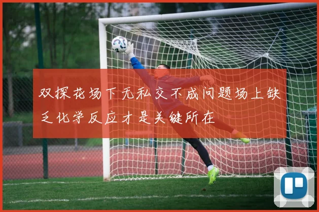 双探花场下无私交不成问题场上缺乏化学反应才是关键所在